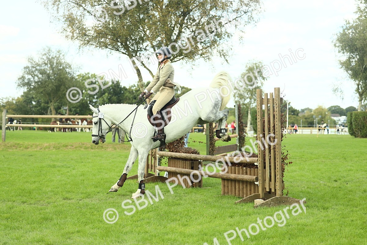 SBM_47989 - S32 - Novice & Newcomers Working Hunter