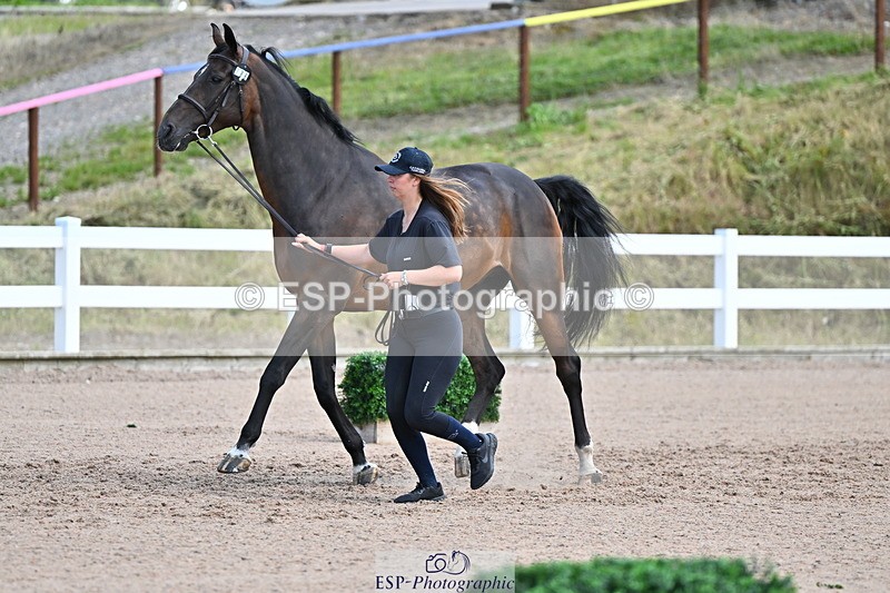 240718A-105252-01264 - Trot Up 12pm to 1pm