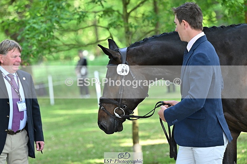 250521A-164912-01356 - C-264-Max.Warburton-EARL.DORADO