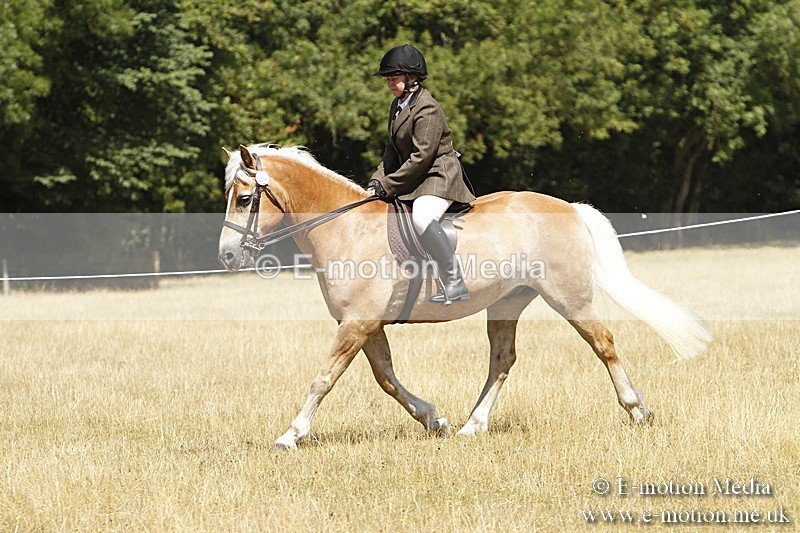 _BS_0807 - BVRC Show 2018 Ring 1