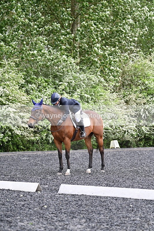 WJ7_1294 - Time 14:16 to 14:55