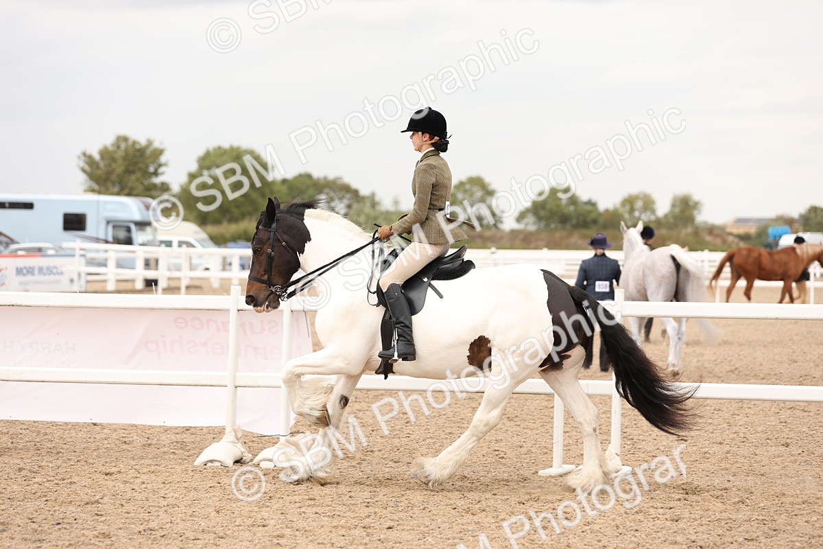 SBM_19694 - Class 216 - Ridden Traditional - Native Cob