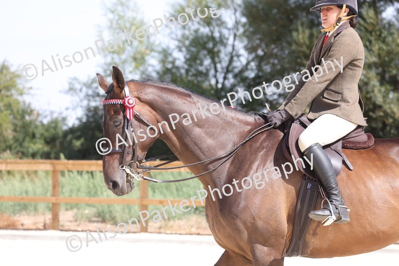 20260802-0755 - Class 8 - Best Riding Horse or Pony