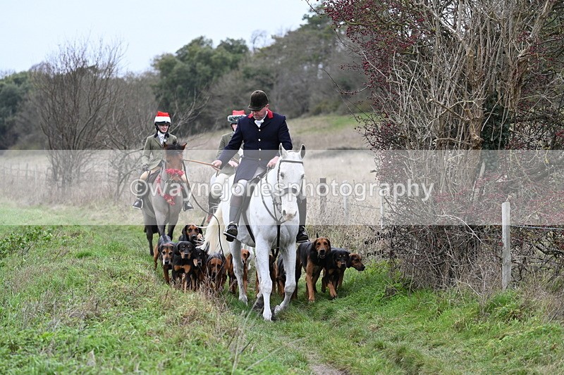 WJ7_0814 - First Seen