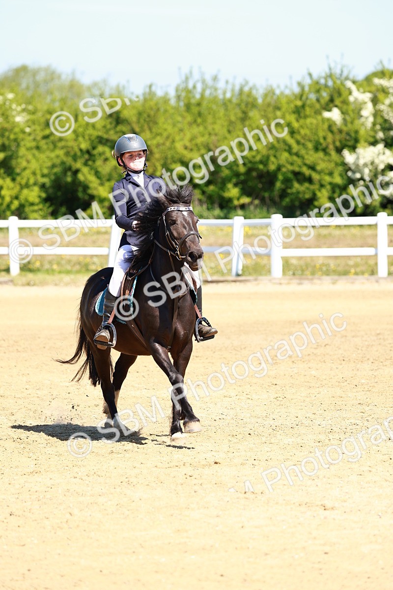 SBM_007032 - Class 3 - 60cm