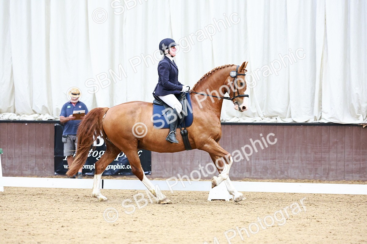 0B8A7873 - Class 4 - Prelim 3