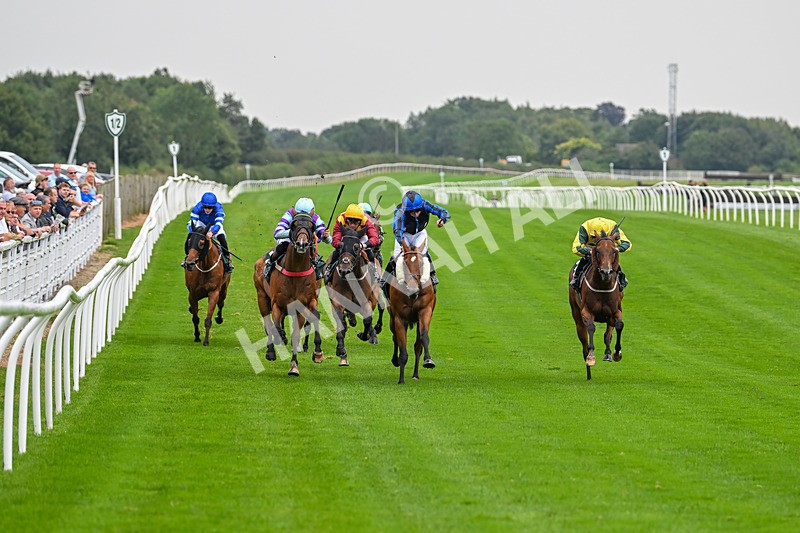 280824-Race 3-Too Much Too Young-4229 - Race 3