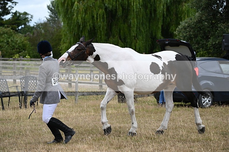 WJ6_8282 - Class 10 Coloured in Hand
