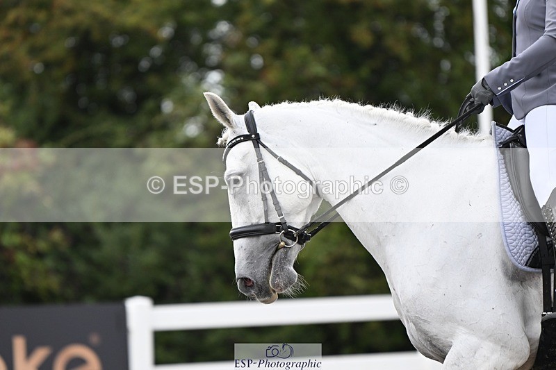 250907-104735-06350 - 070-Charlotte.DoreyDeards.Silver.Bounce