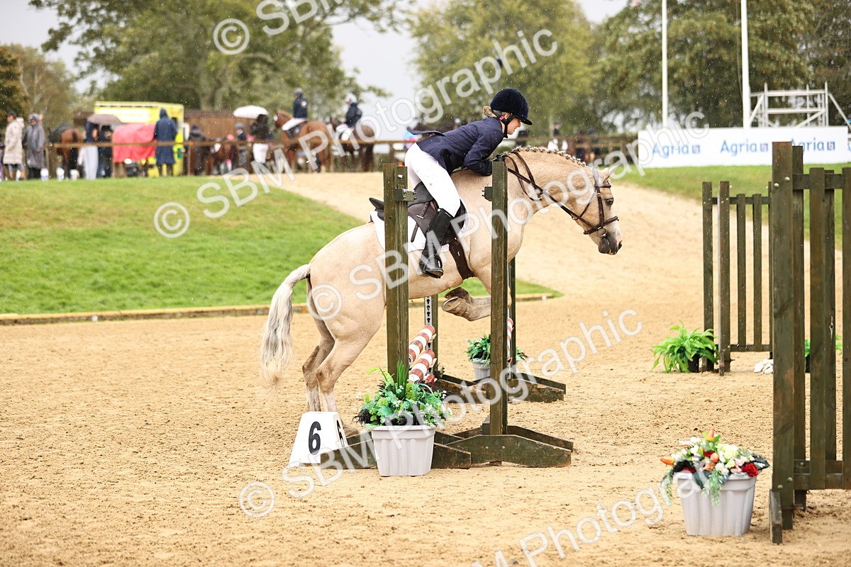 SBM_44622 - J9 - Junior Pony 70cm Championship