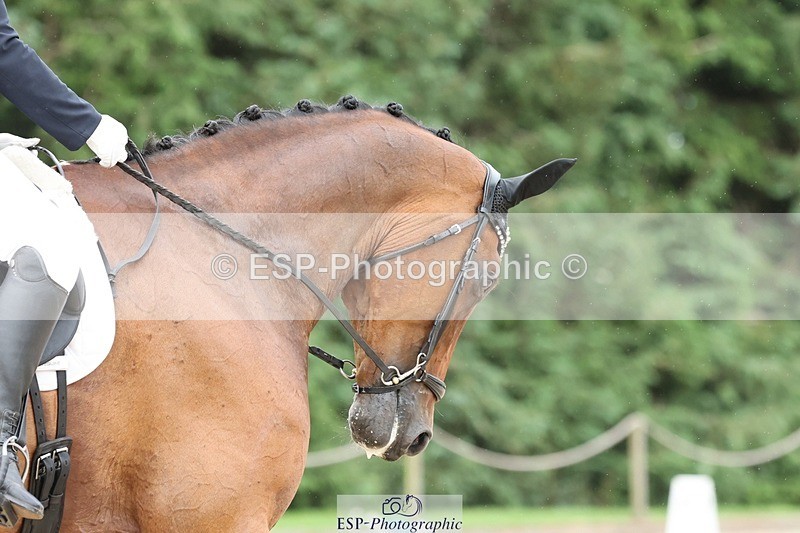 240810-153332-04063 - 197-Katherine.Carne-Calcourt.Romancier