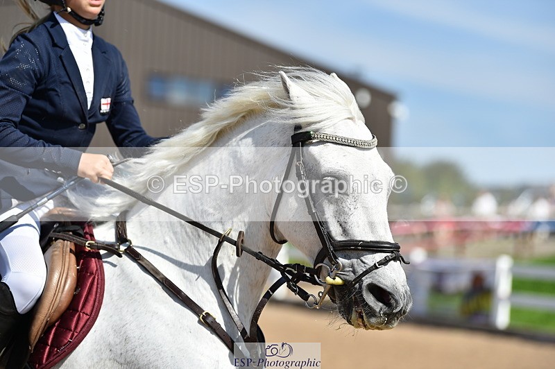 230903A-130408-04607 - Cls 19 Pony Discovery & 90cm Open