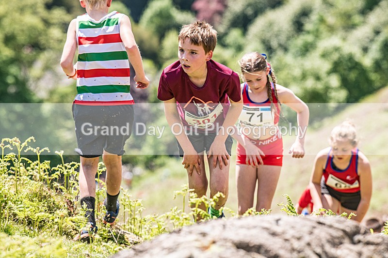 Coniston Junior-116 - Coniston Gullies Junior Fell Races Sunday 24th May 2026