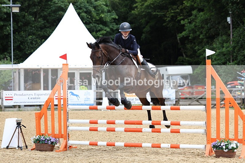 3E7A6426 - Class 4: Senior British Novice/90cm open