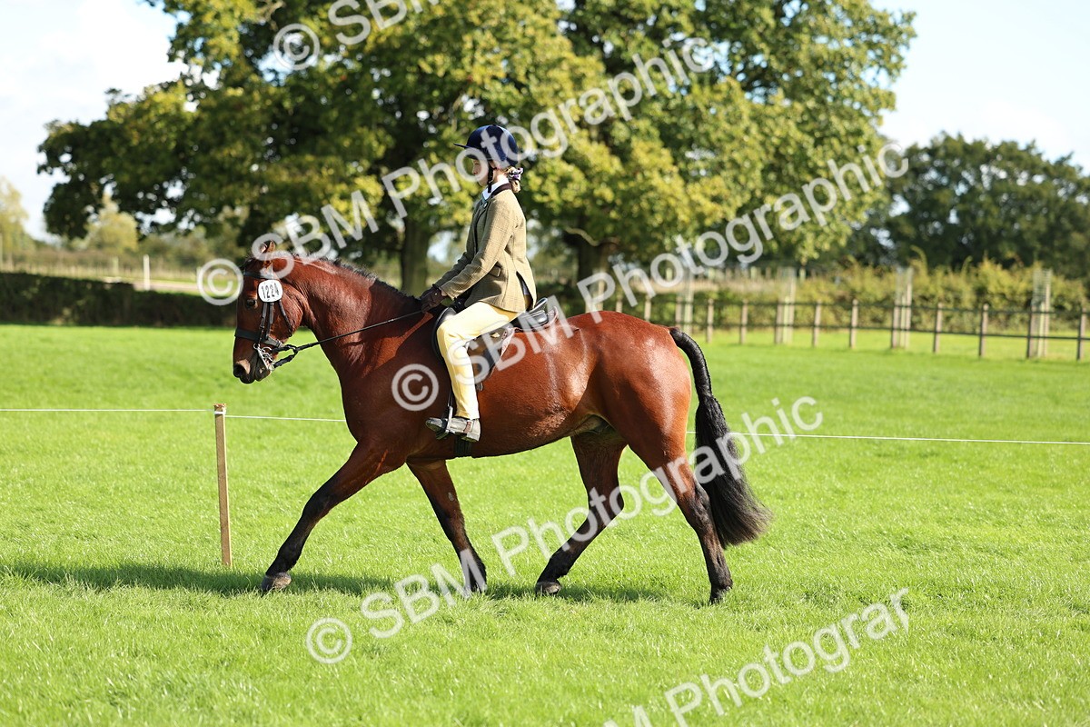 SBM_45496 - S33 - Working Hunter Pony