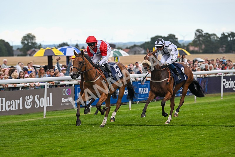 290725-Race 4-Hanney Girl-0447 - Race 4