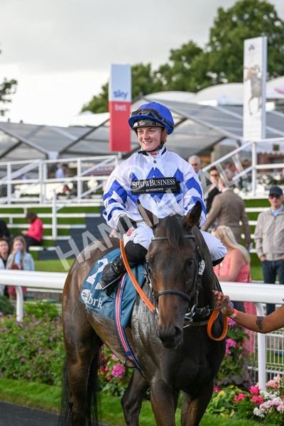 260724-Race 4-Dicko The Legend-5296 - Race 4 7.15pm Tomahawk Restaurants Handicap