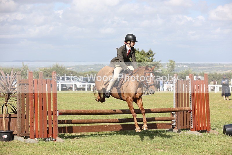 JPP_2724 - Class 20: Working Hunter 70cm