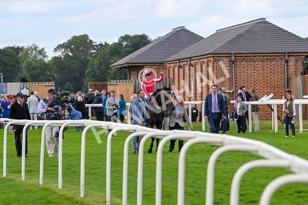 230824-Race 4-Bradsell-9458 - Race 4 3.35pm Coolmore Wootton Bassett Nunthorpe Stakes