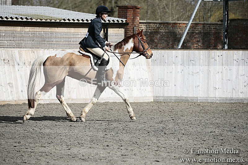 BVRC SJ 170319 295 - Bourne Valley Riding Club Showjumping 17/03/19