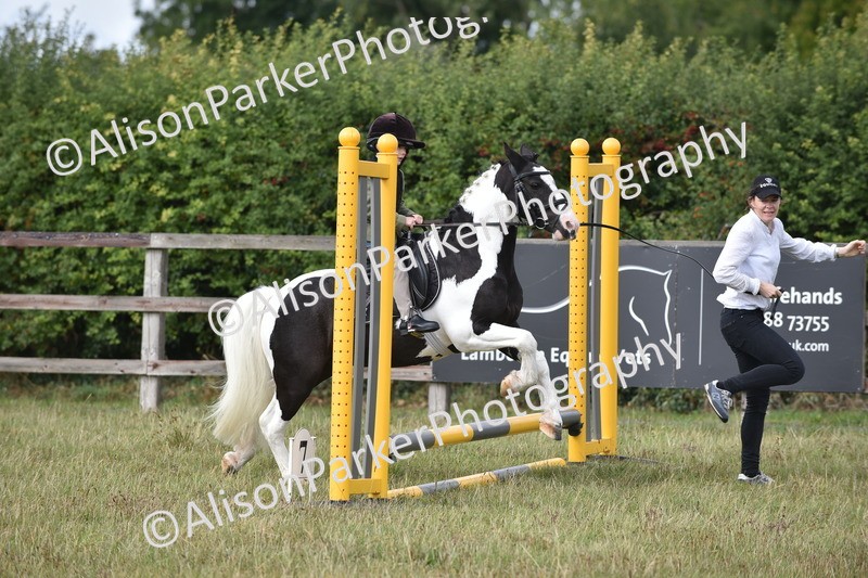 20250831-1803 - Class 8 - Hoof and Foot