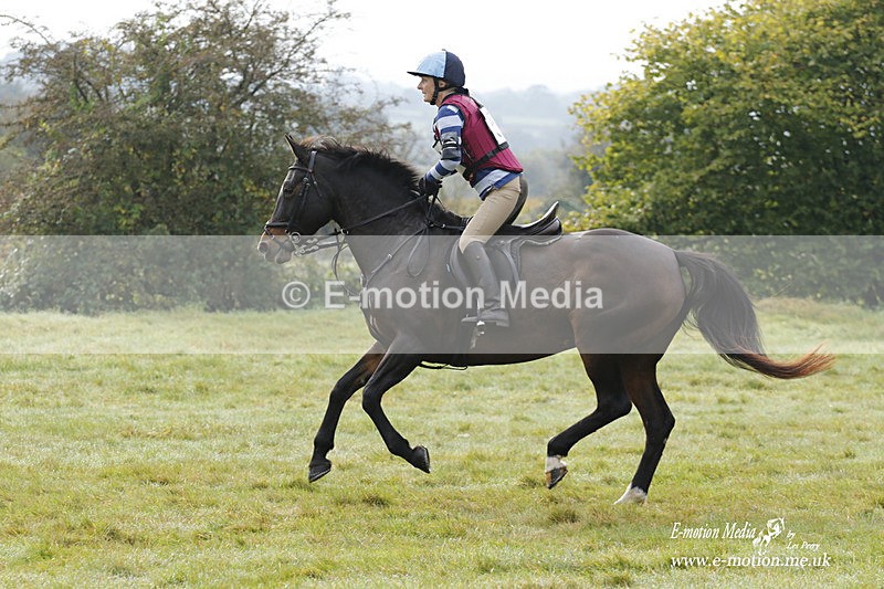  WWHT 171021 0705 - Open Novice (0.80m)  17/10/21