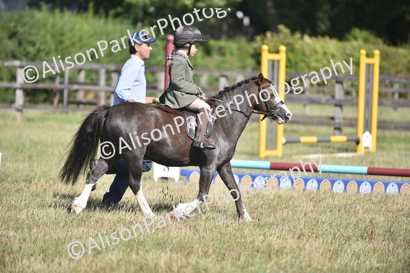 20260906-0998 - Class 7 - Absolute Novice Jumping 35cm