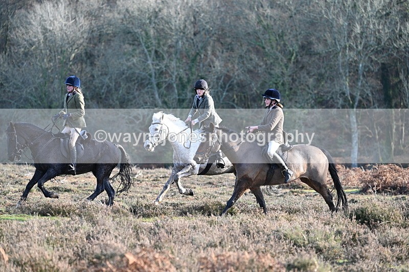 WJ7_7944 - Line 3 (no line 4 or 5)