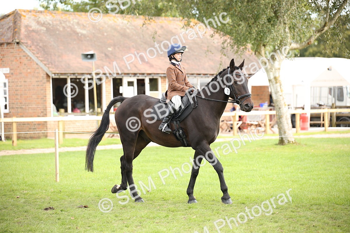 SBM_54240 - S27 - Mature Veteran - Ridden