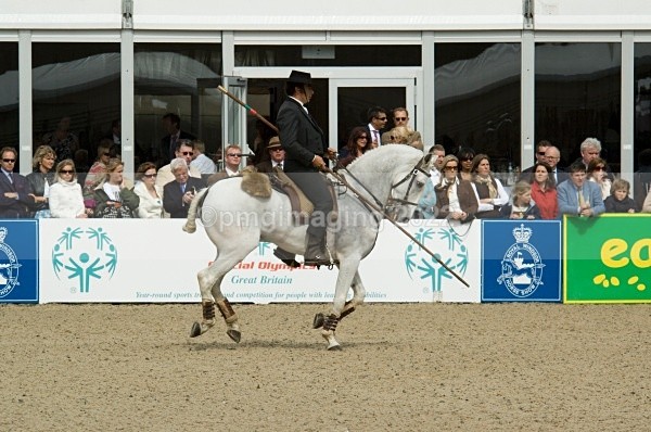  - Windsor Horse Show
