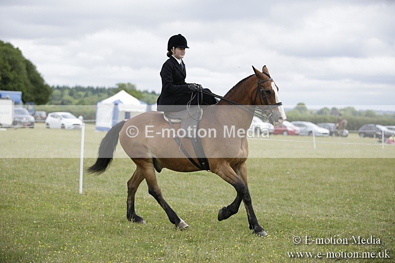 BVR160717-1935 - Side Saddle Classes 16/07/17