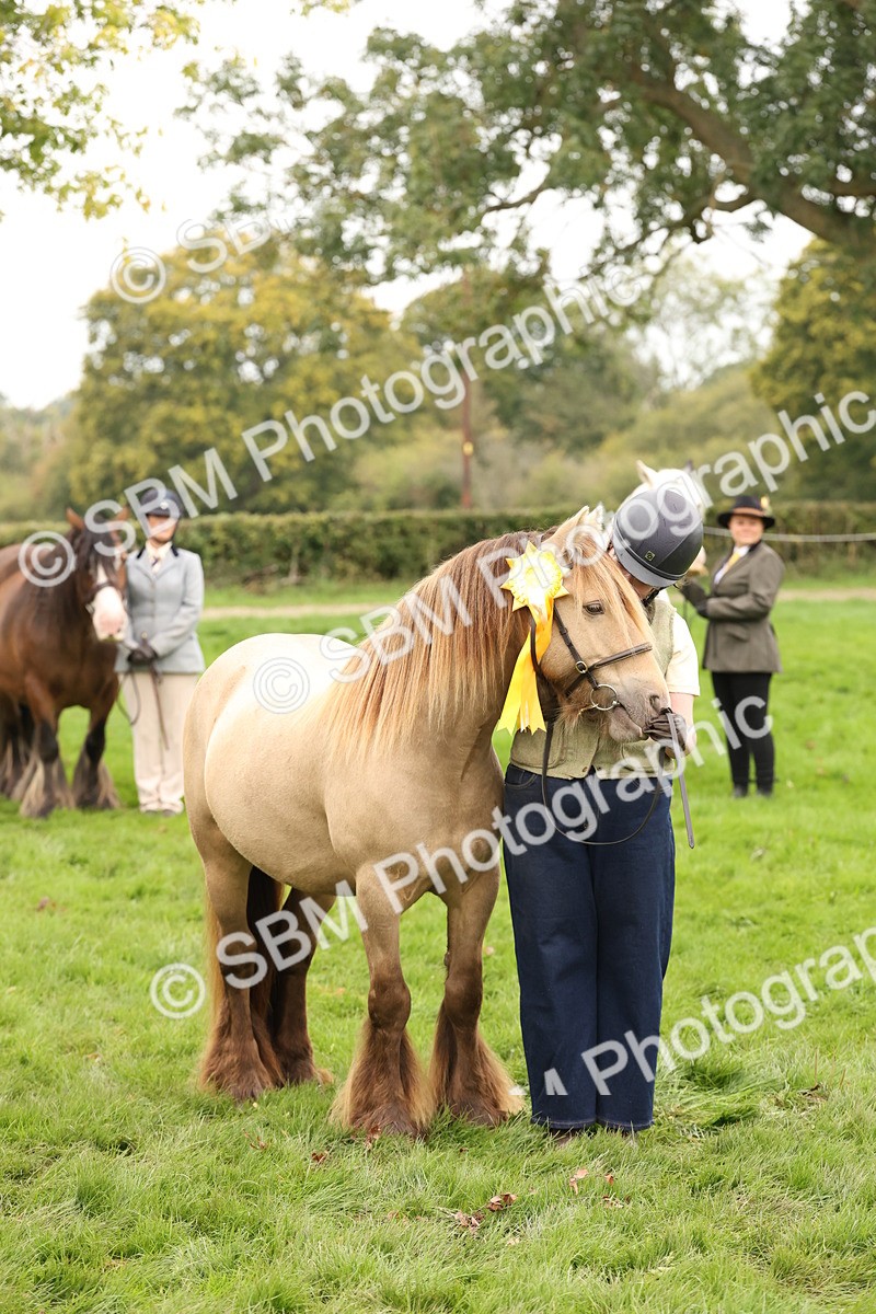 SBM_59369 - S57 - Traditional Cob In Hand