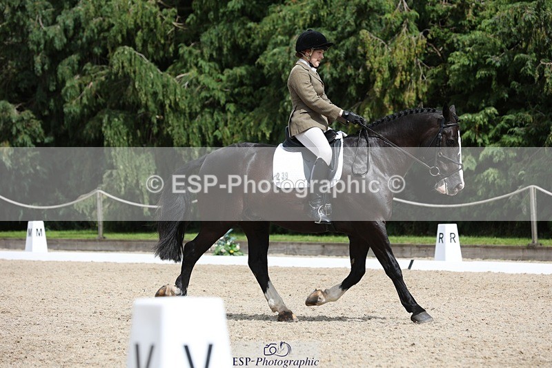 230812-134058-04291 - Cls 5 Novice Bronze 13.40 to 14.45 break