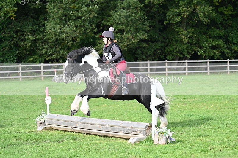 WJ7_3693 - 40cm Time 10:26 to 10:42