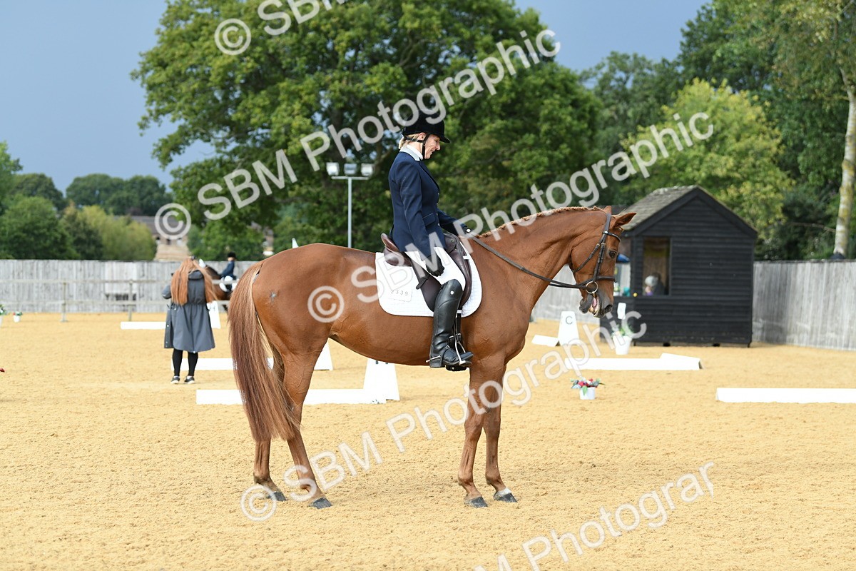 SBM_11027 - D28 Elementary Taster Elementary 42