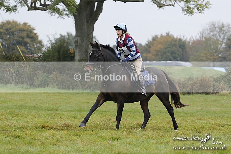 WWHT 181020 WWHT 181020 437 - WWEC Open Novice (0.80m) 18/10/20