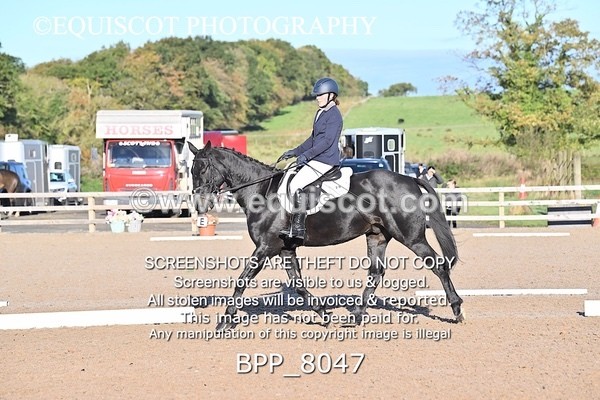 BPP_8047 - LONG ARENA
