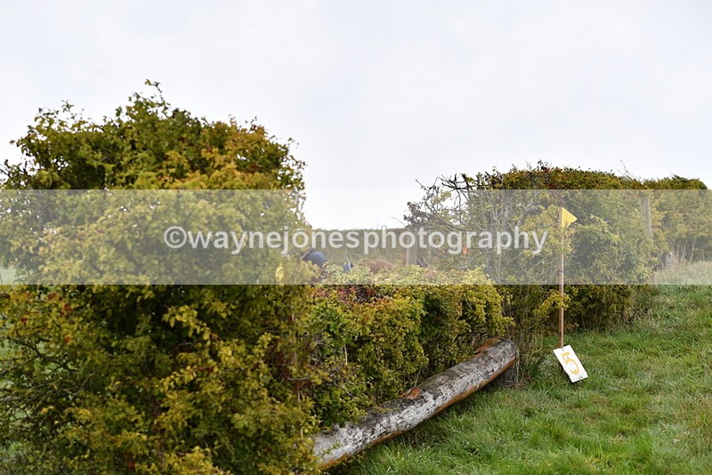 WJ5_5619 - Time 10:05 to 10:30  (3 cameras)