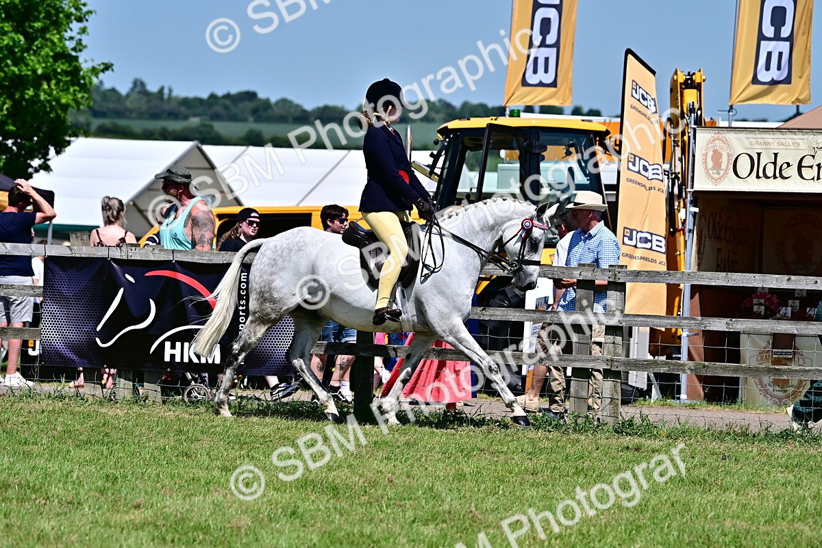 SBM_17543 - Class 95-97 - BSPS LHS Performance Ponies