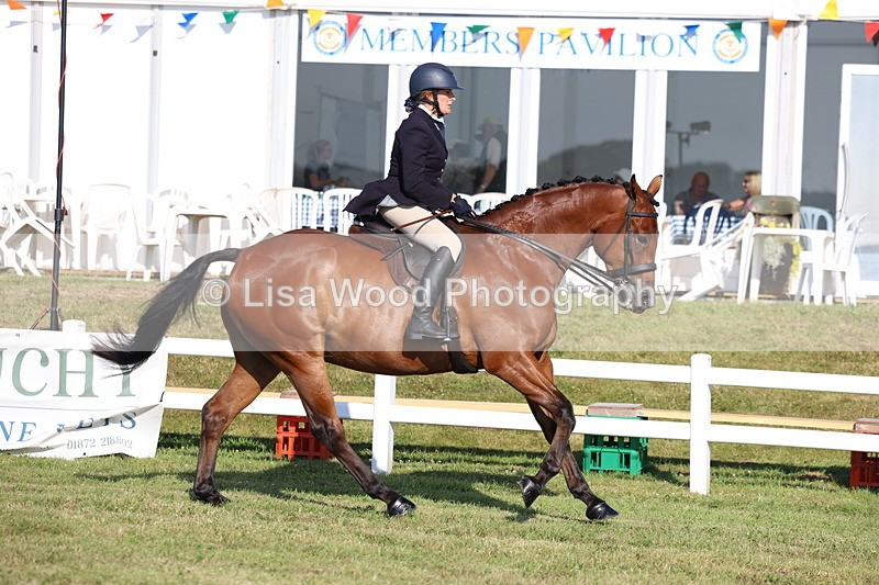 3E7A5328 - Class 2: Rising Star Large Hack/Riding Horse