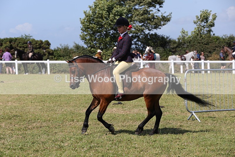 1X9A5405 - Class 37: NPS M&M First Ridden