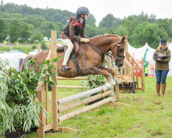 Dunblane show-257 - Dunblane and Doune Show Ring 1