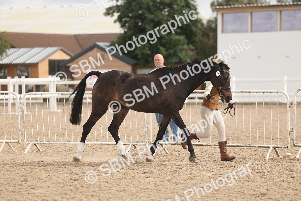SBM_04981 - Class 20 - IH Veteran