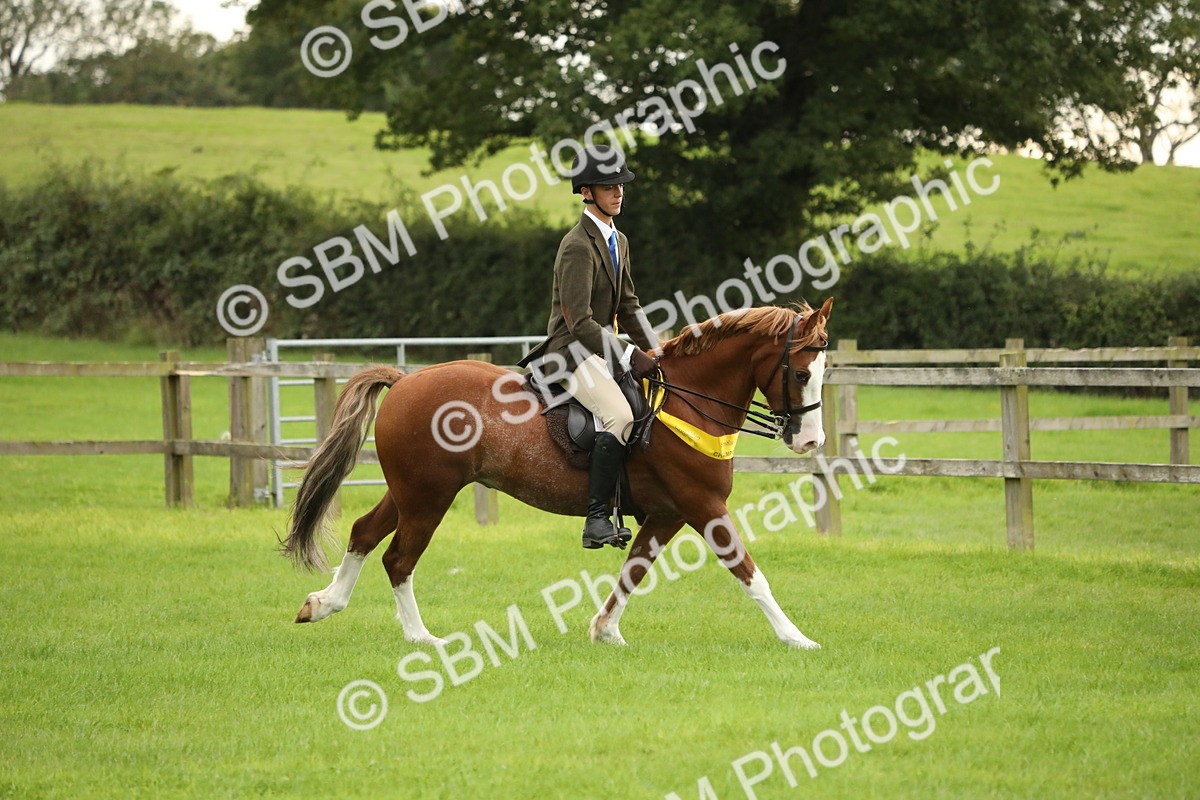 SBM_73883 - S41 - Ridden Equitation (Best Rider)