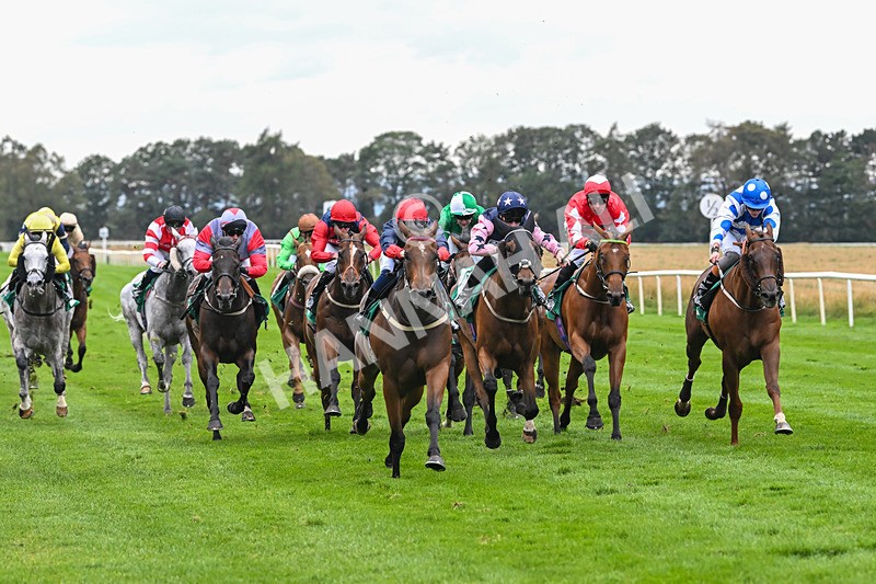 060925-Race 5-Eternal Sunshine-5863 - Race 5