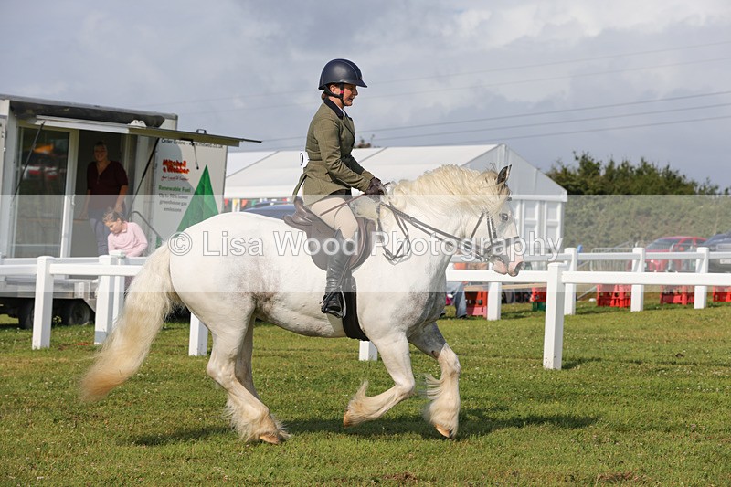 1X9A3384 - Class 28: Ridden Native/Trad Coloured Pony