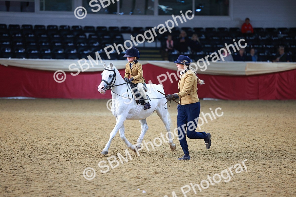 SBM_07706 - Class 101 - HOYS Veteran Qualifier - Ridden Diamond