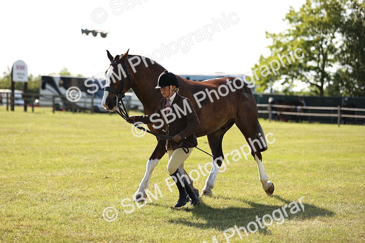 SBM_19687 - Class 87-88 - RIHS BSHA Riding Horses