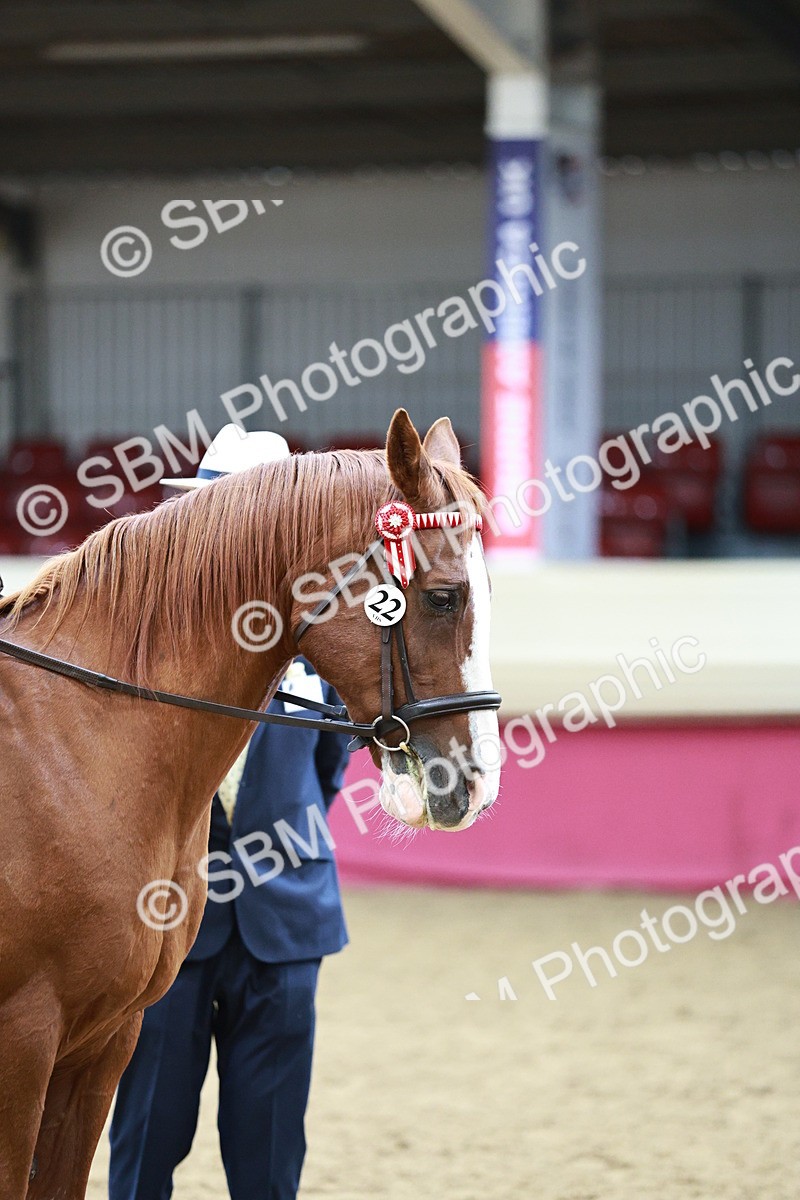 SBM_03038 - Class 5A - Area Ridden Veteran