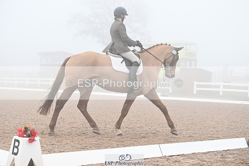 240217A-130342-02739 - 239-Sophie.Hawke-Dionysus